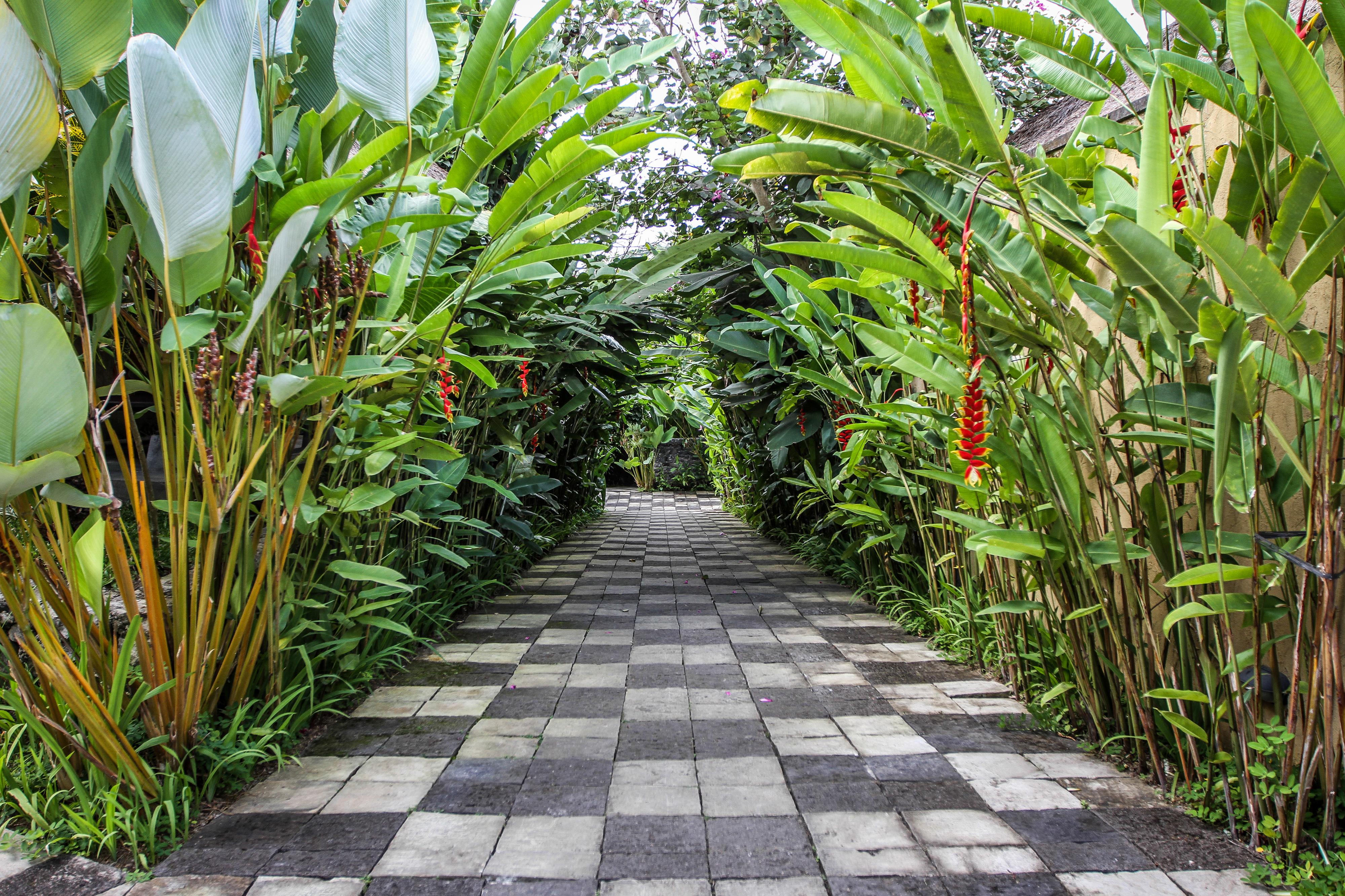 Ubud Green Resort Villas Powered By Archipelago Eksteriør bilde